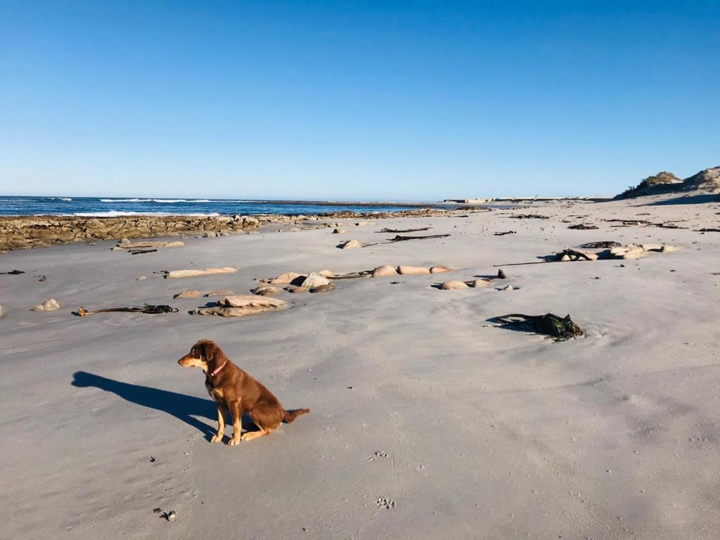 Port Nolloth Beach Shack Εξωτερικό φωτογραφία